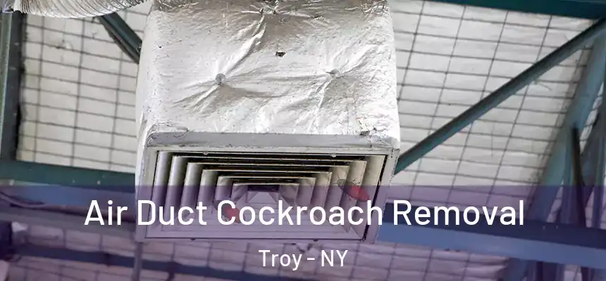  Air Duct Cockroach Removal Troy - NY