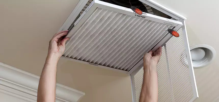 Preventive Cockroach-Proofing for Ducts in Troy
