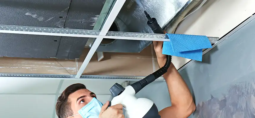 Our Air Duct Rodent Removal Services in Troy, NY