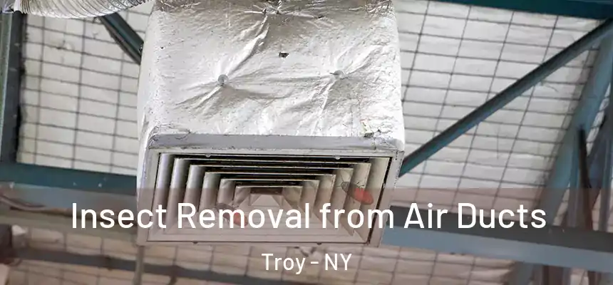  Insect Removal from Air Ducts Troy - NY