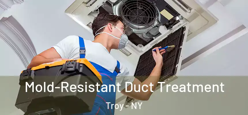  Mold-Resistant Duct Treatment Troy - NY
