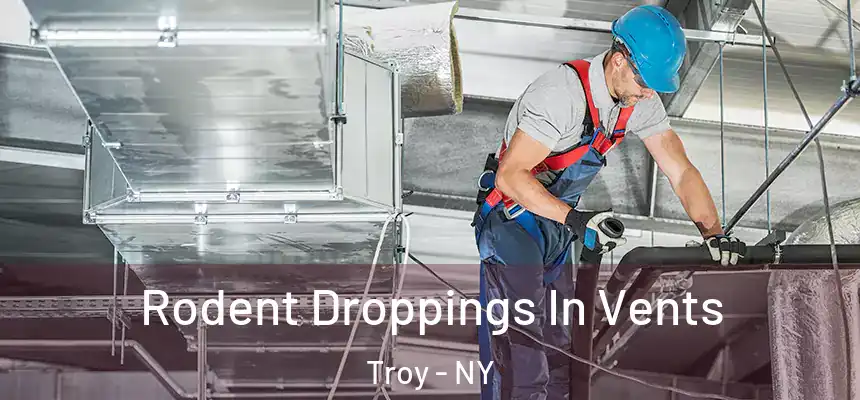  Rodent Droppings In Vents Troy - NY