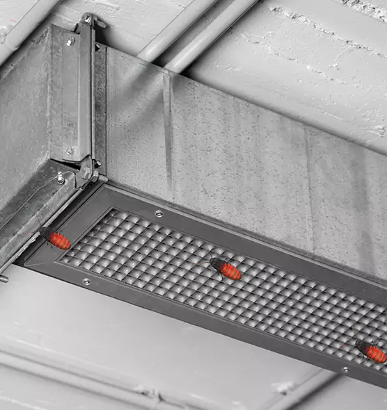 Affordable Insect Removal from Air Ducts in Troy, NY