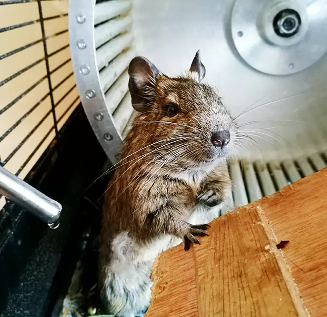 Why Homeowners & Businesses Trust Us Troy, NY